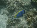 Kuramathi (88)
